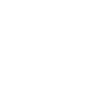 Nym network icon